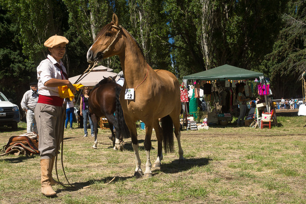 El viernes comienza la XXXI Exposición Rural de Bariloche